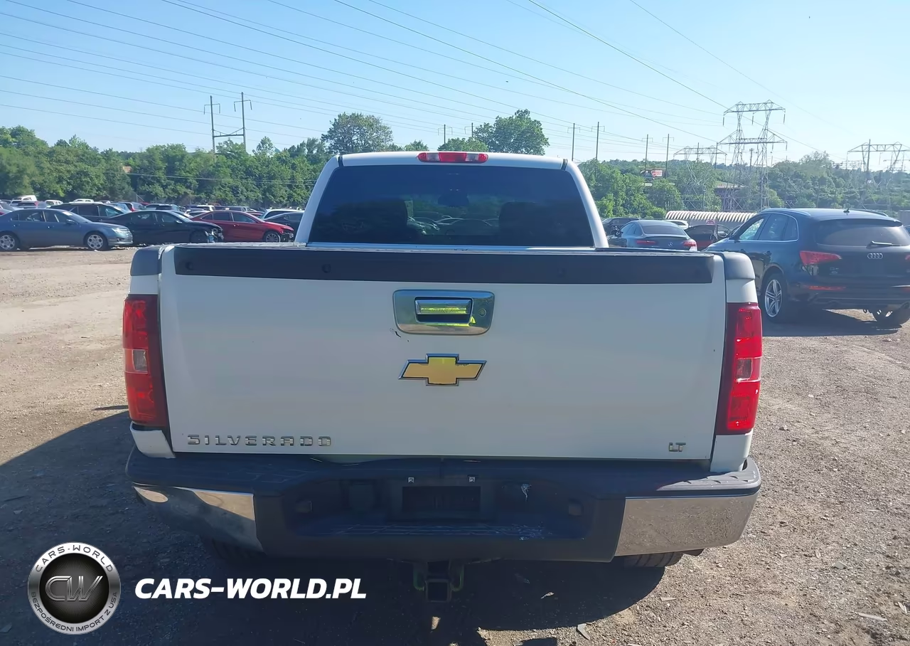 2009 Chevrolet Silverado 1500 Lt VIN:1GCEK29J89Z289502 - 17