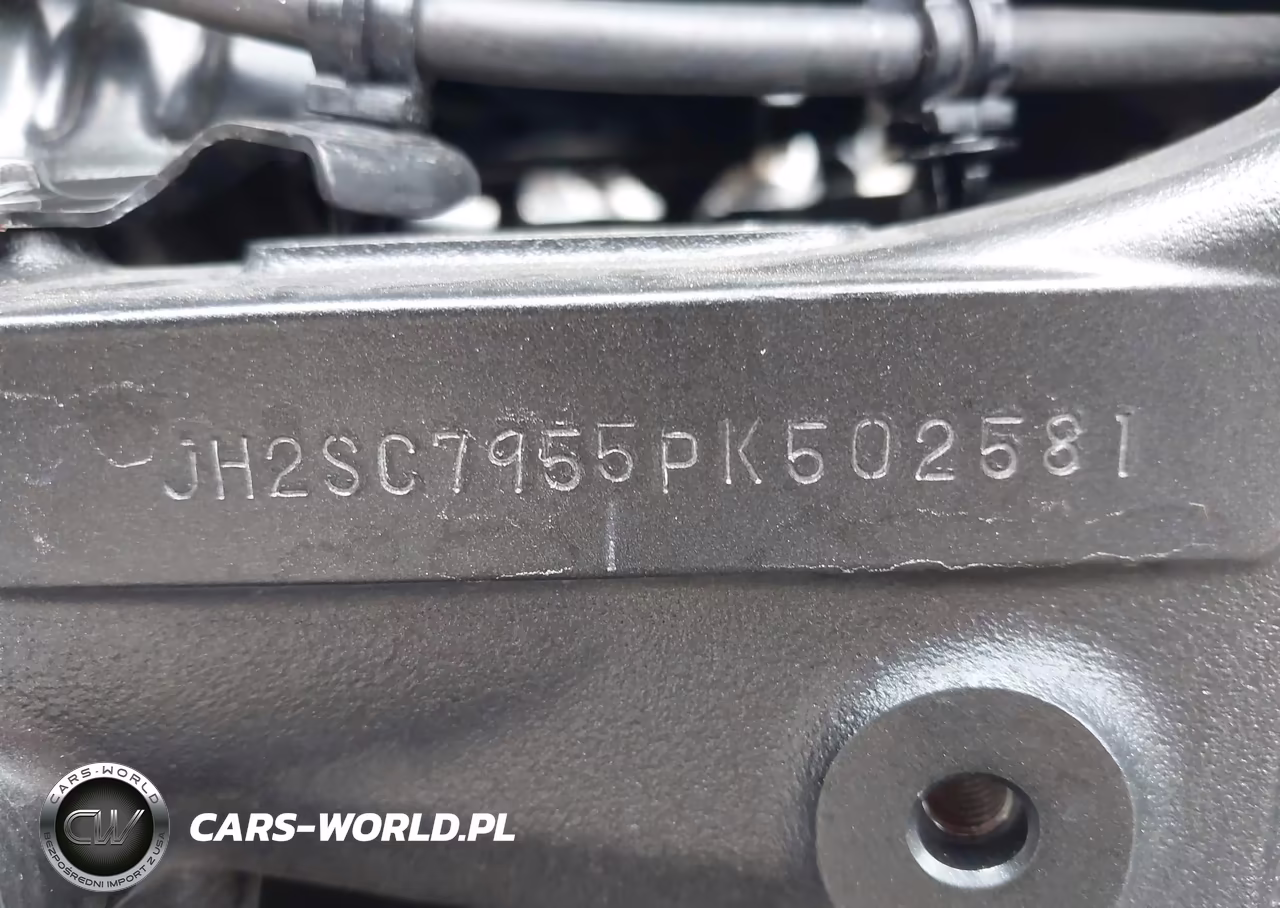 2023 Honda Gl1800 D VIN:JH2SC7955PK502581 - 10