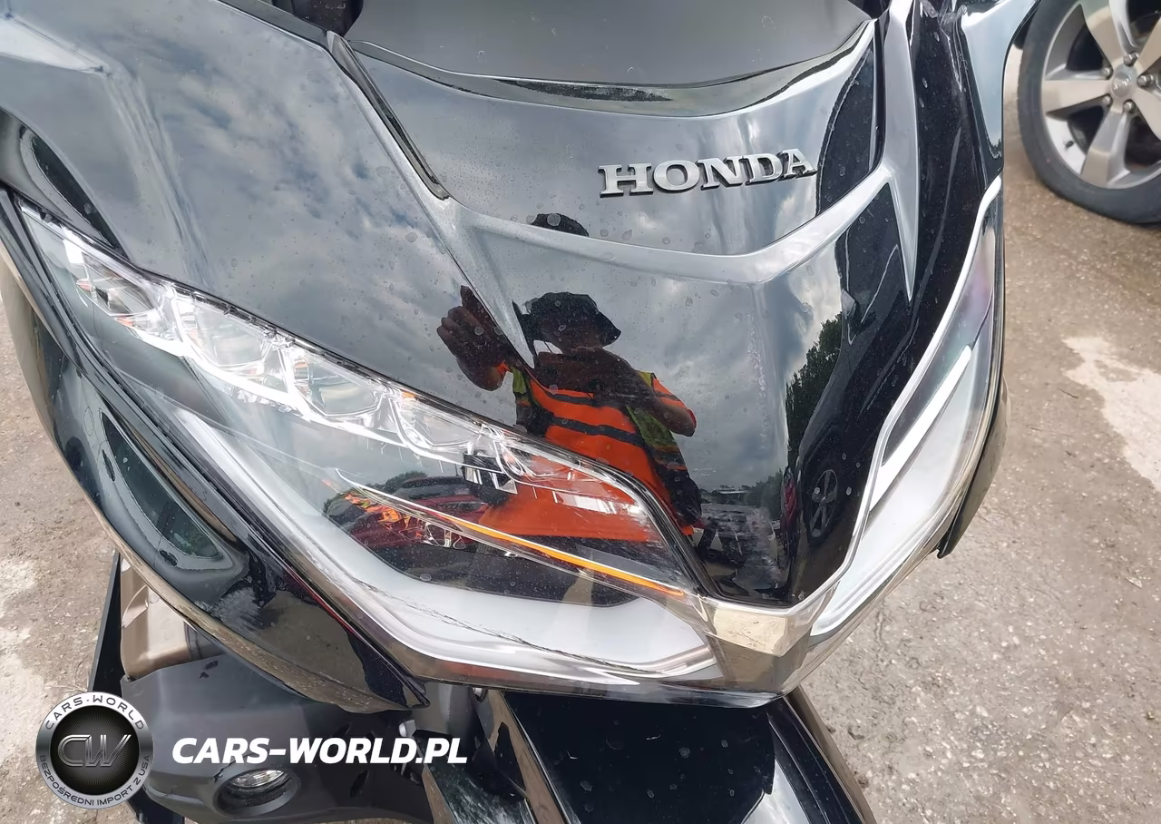 2023 Honda Gl1800 D VIN:JH2SC7955PK502581 - 17