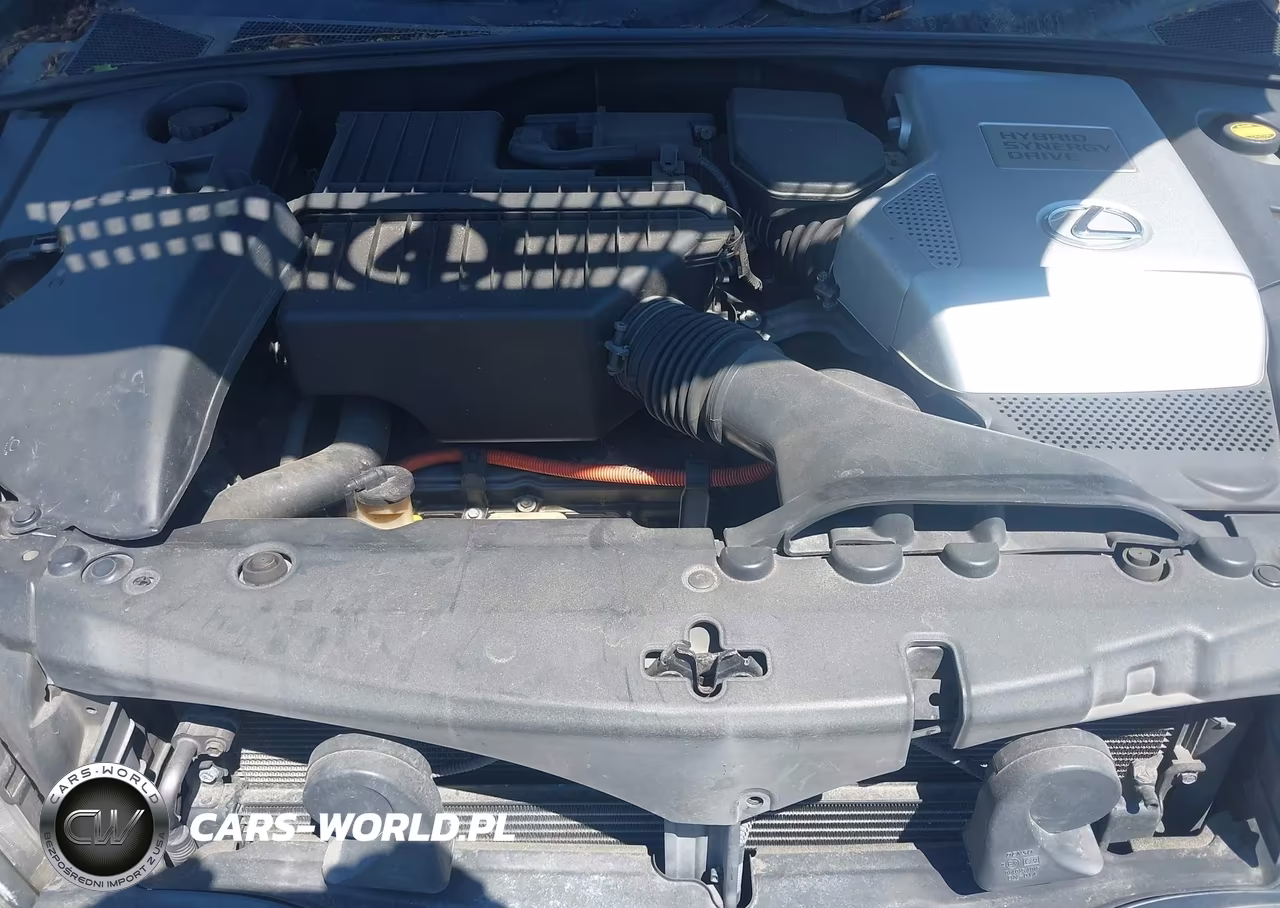 2006 Lexus Rx 400H VIN:JTJHW31U660013071 - 10