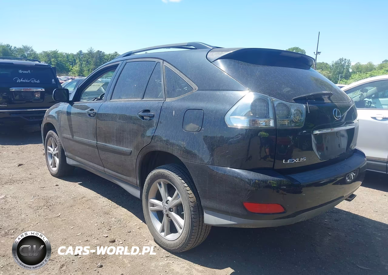 2006 Lexus Rx 400H VIN:JTJHW31U660013071 - 3