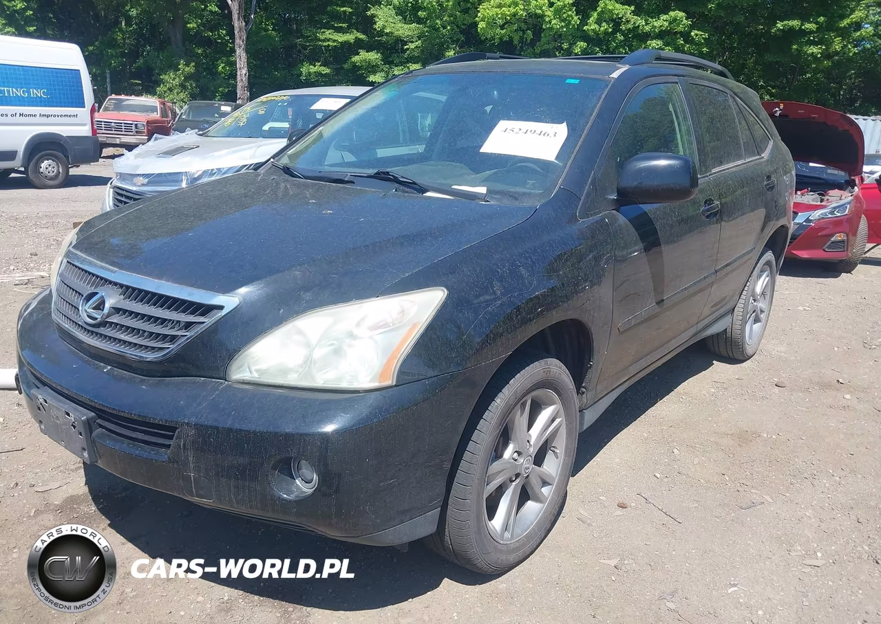 2006 Lexus Rx 400H VIN:JTJHW31U660013071 - 6
