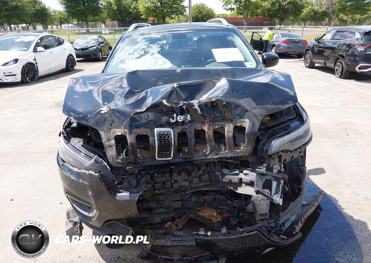 2019 Jeep Cherokee Limited 4X4 VIN:1C4PJMDX1KD336049 - 12