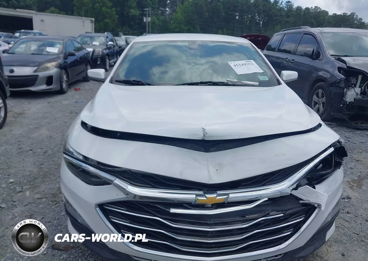 2019 Chevrolet Malibu Lt VIN:1G1ZD5ST7KF166511 - 12