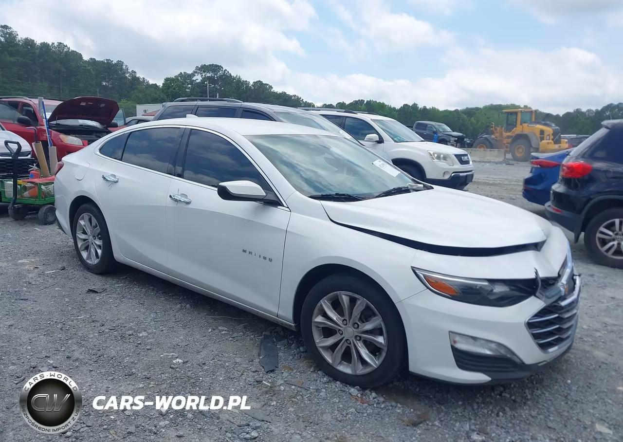 2019 Chevrolet Malibu Lt VIN:1G1ZD5ST7KF166511 - 13