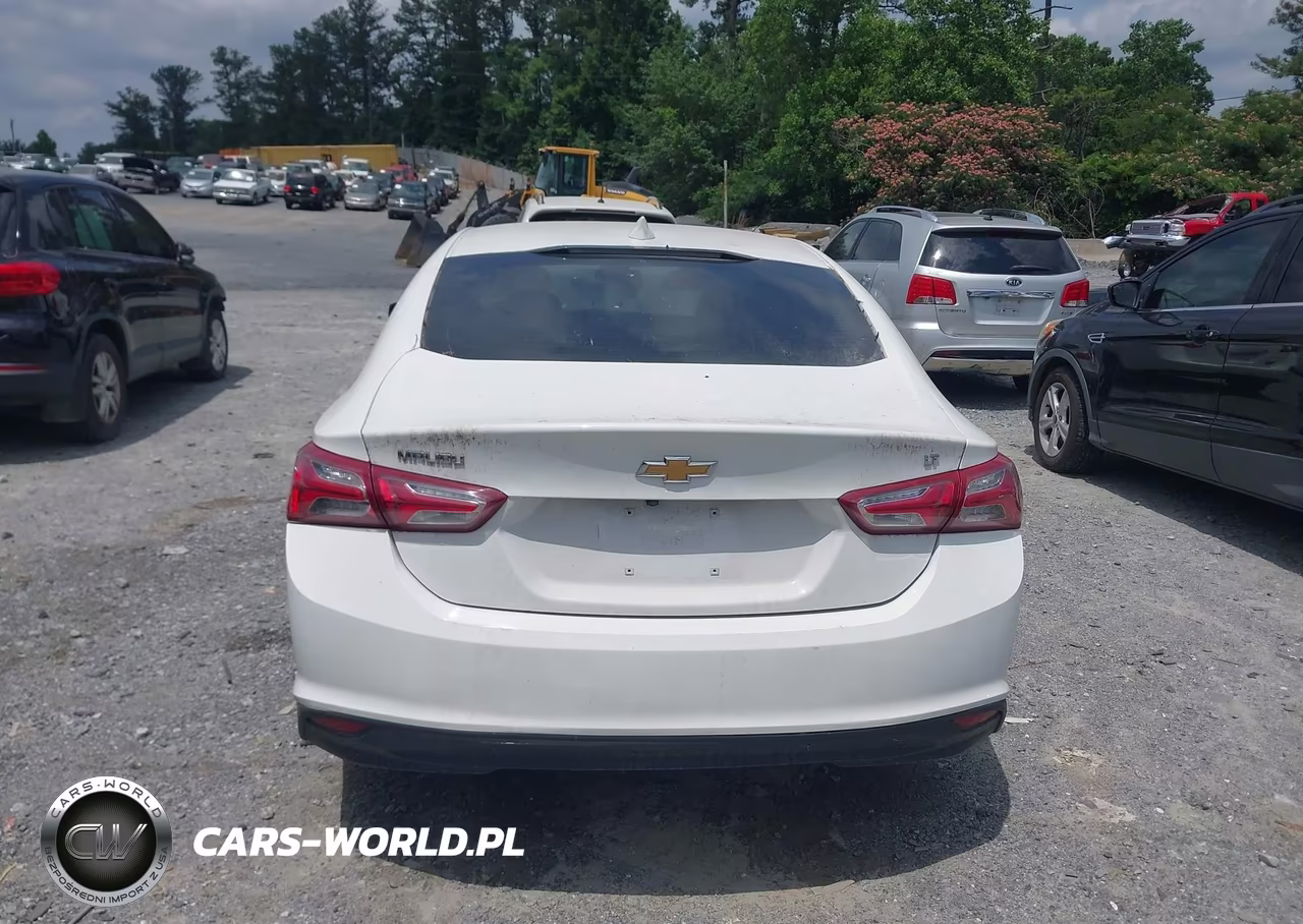 2019 Chevrolet Malibu Lt VIN:1G1ZD5ST7KF166511 - 16