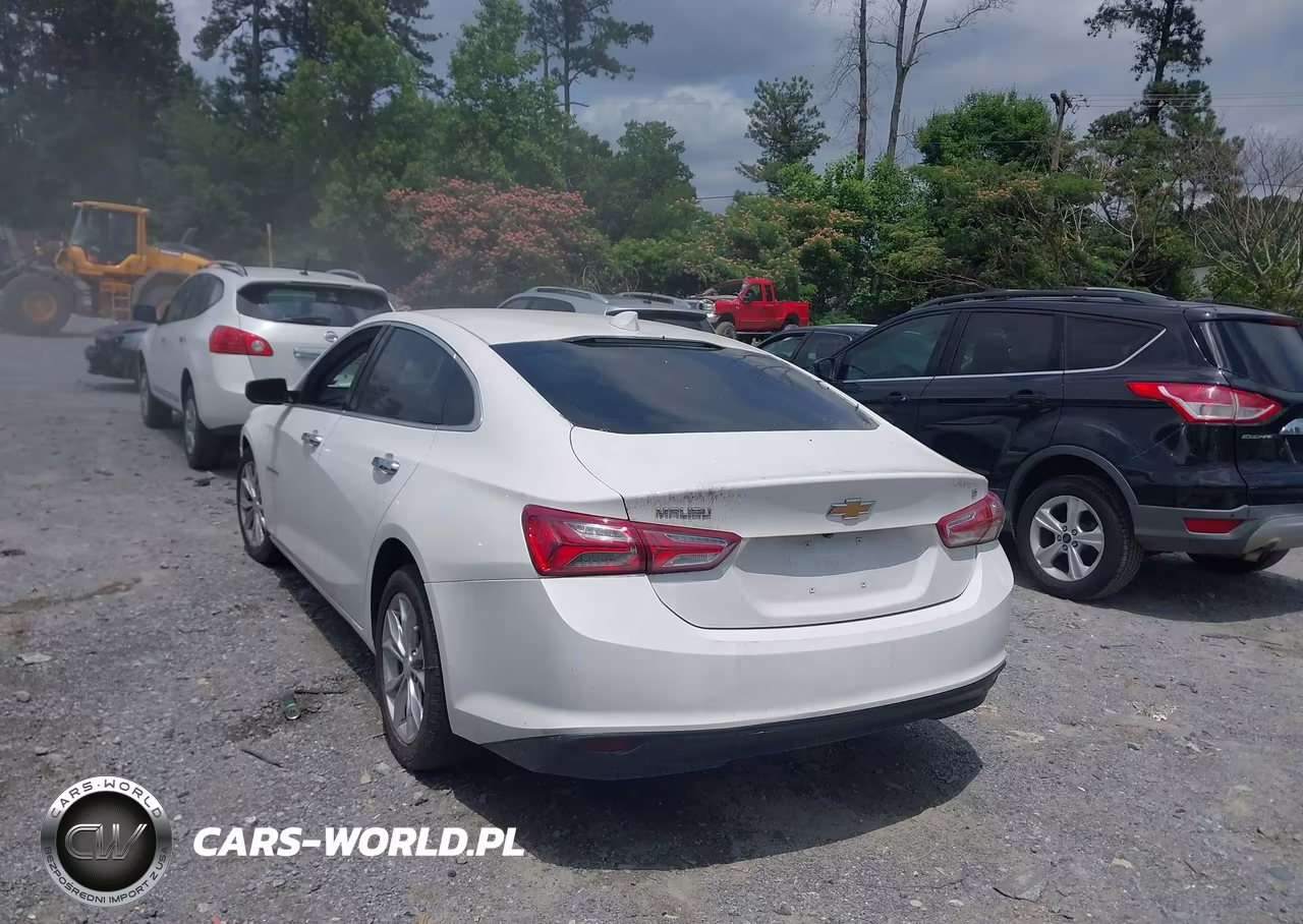 2019 Chevrolet Malibu Lt VIN:1G1ZD5ST7KF166511 - 3