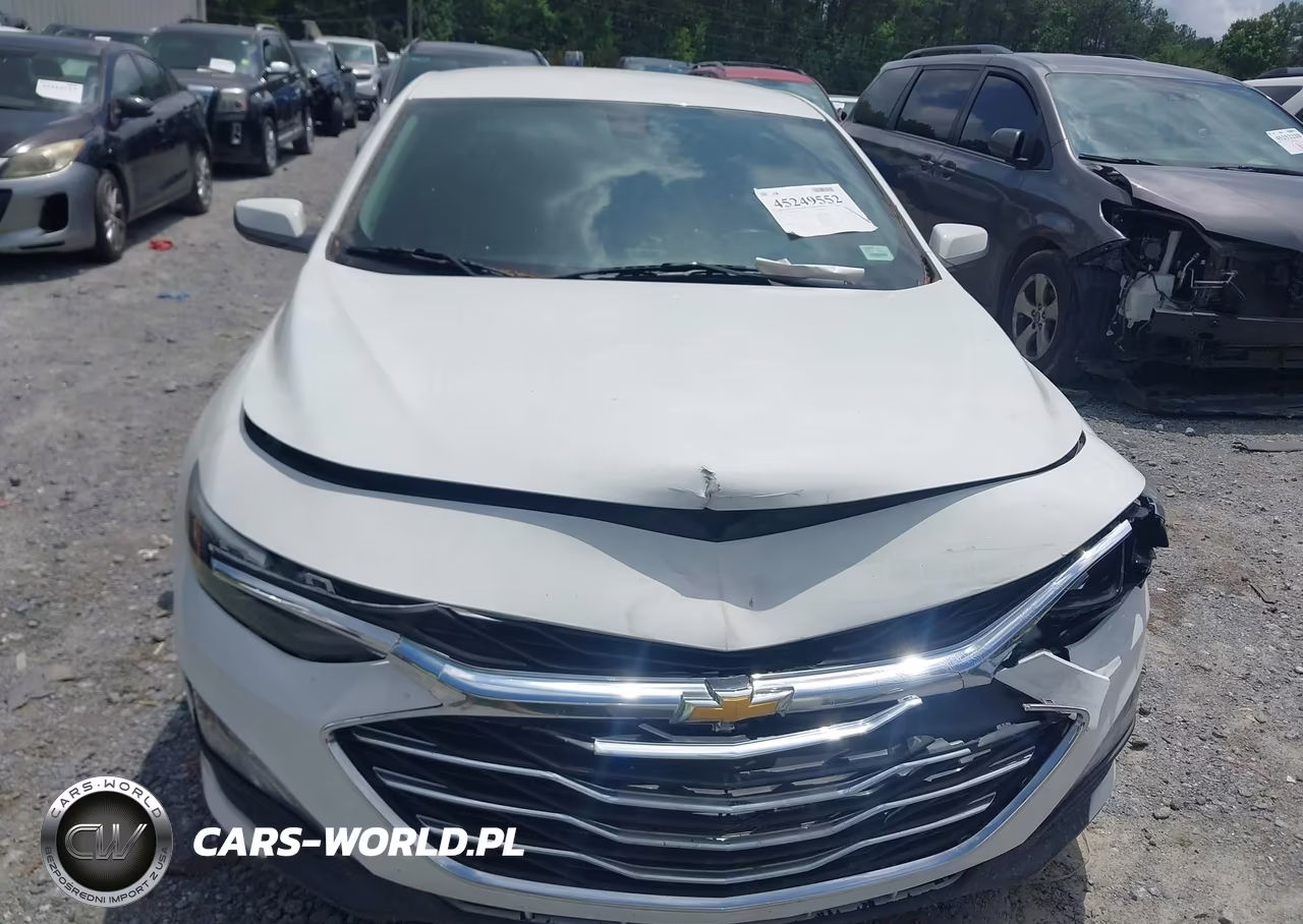 2019 Chevrolet Malibu Lt VIN:1G1ZD5ST7KF166511 - 6