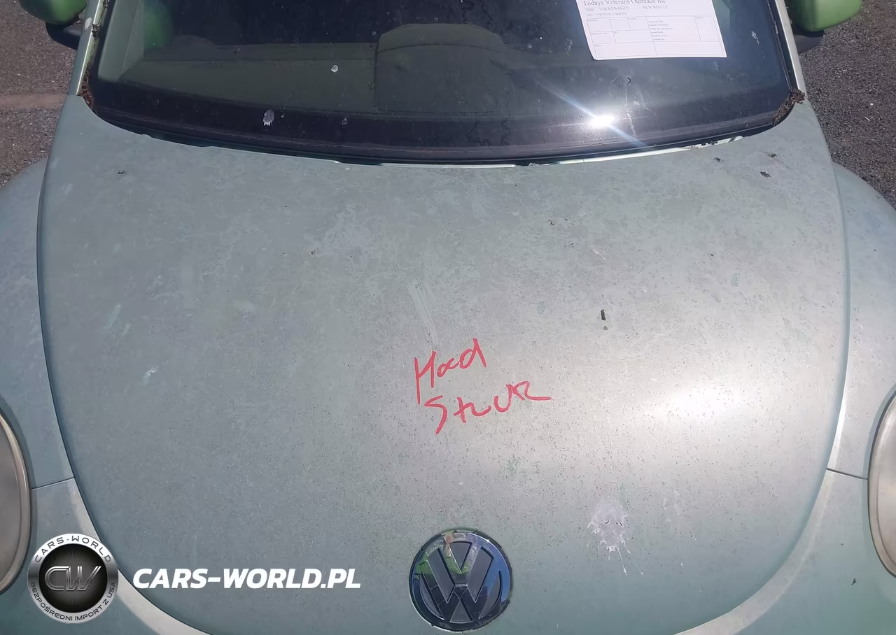 2000 Volkswagen New Beetle Glx VIN:3VWDD21C4YM455952 - 10