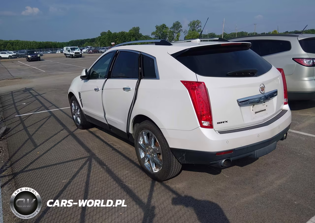 2010 Cadillac Srx Performance Collection VIN:3GYFNBEY0AS541799 - 3