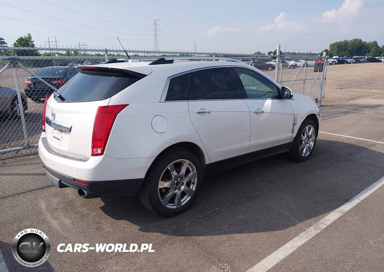 2010 Cadillac Srx Performance Collection VIN:3GYFNBEY0AS541799 - 4