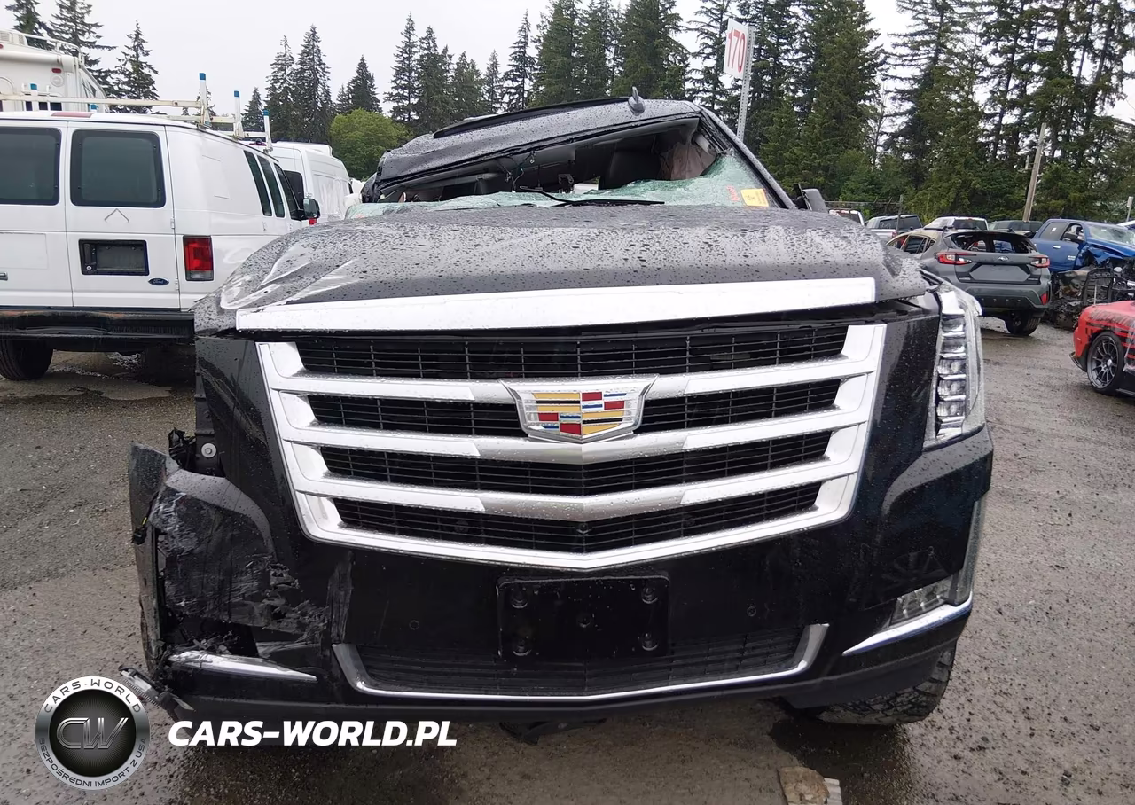 2019 Cadillac Escalade Luxury VIN:1GYS4BKJ2KR270757 - 11