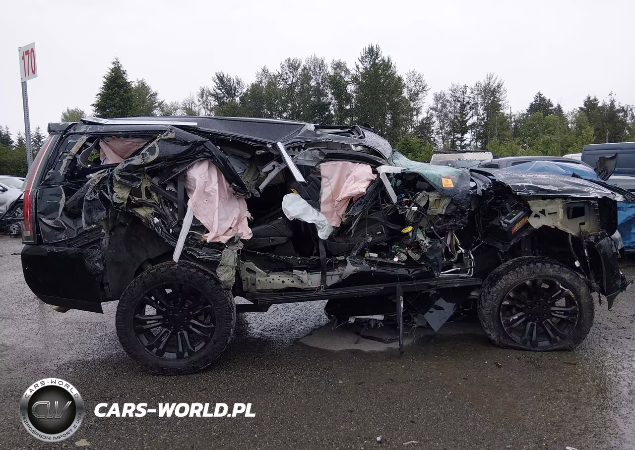 2019 Cadillac Escalade Luxury VIN:1GYS4BKJ2KR270757 - 12