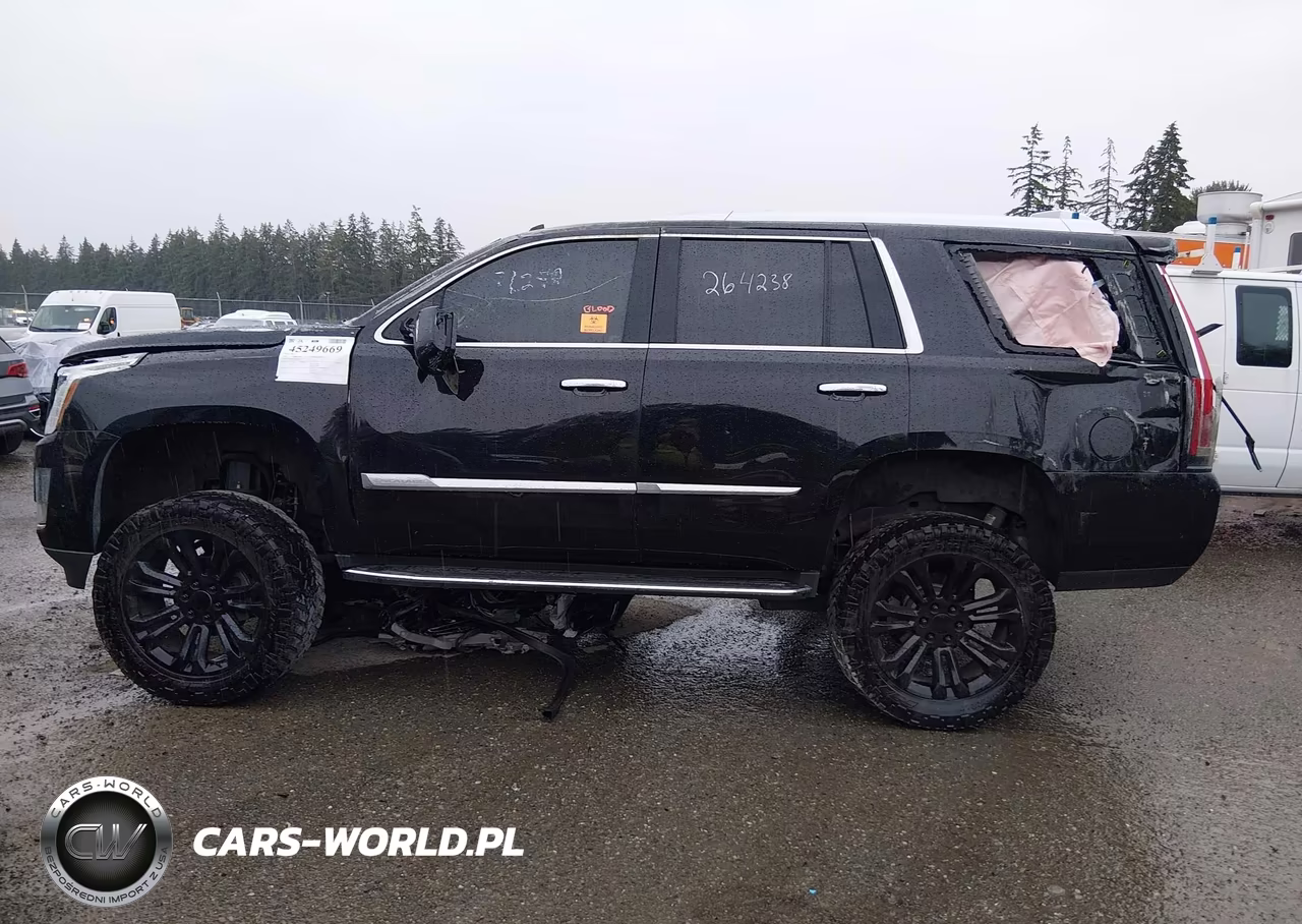 2019 Cadillac Escalade Luxury VIN:1GYS4BKJ2KR270757 - 13