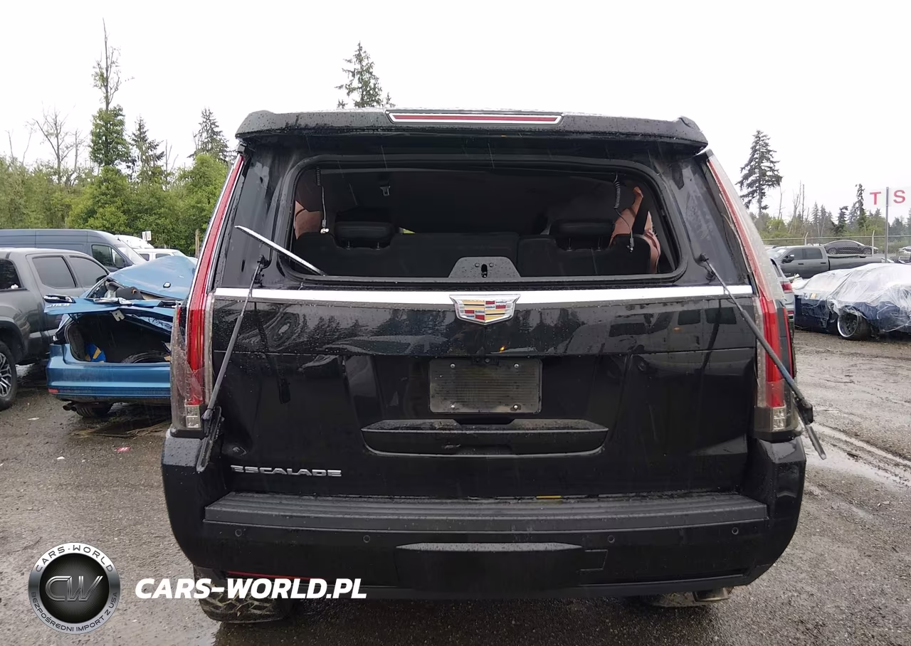 2019 Cadillac Escalade Luxury VIN:1GYS4BKJ2KR270757 - 15