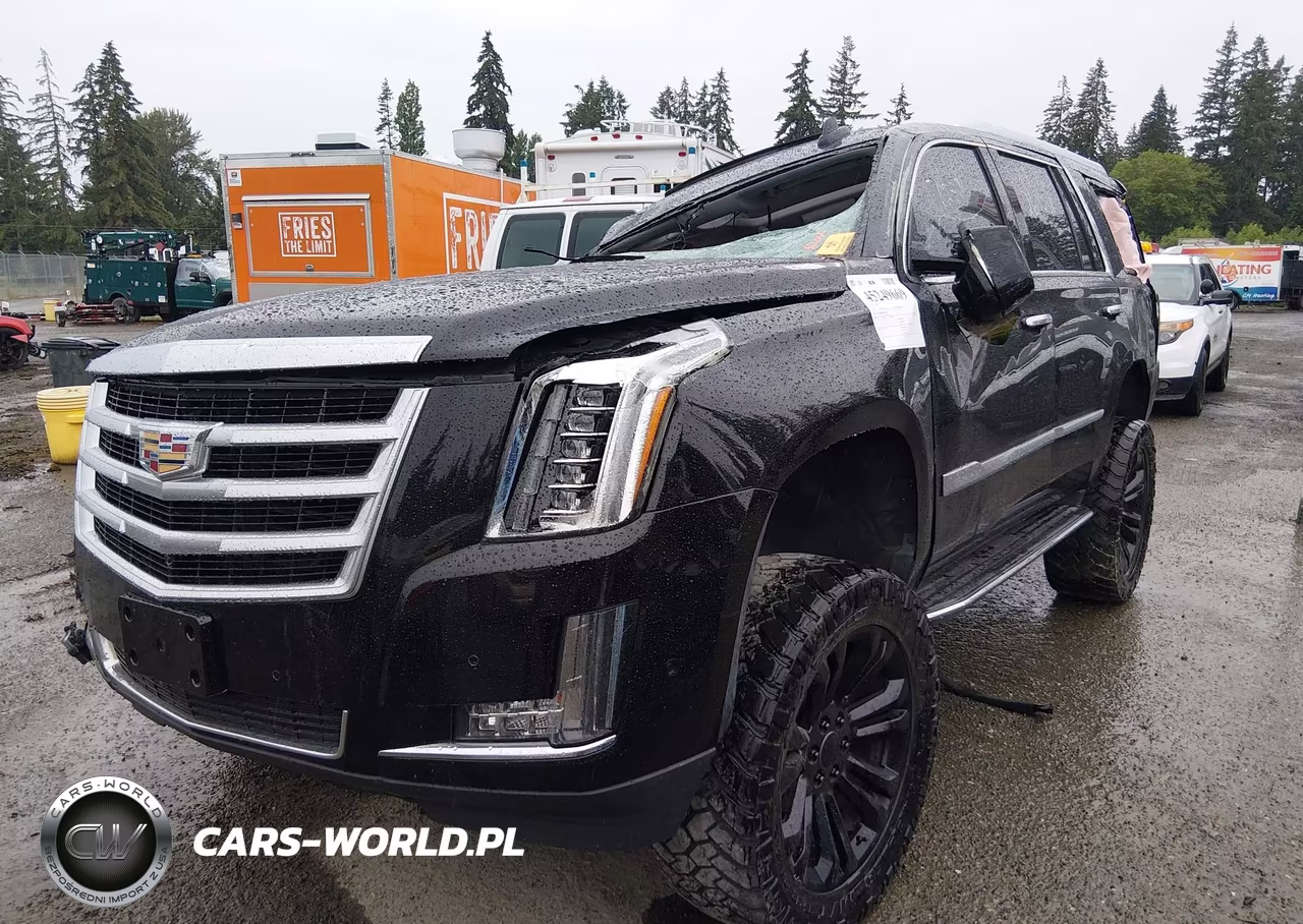2019 Cadillac Escalade Luxury VIN:1GYS4BKJ2KR270757 - 2