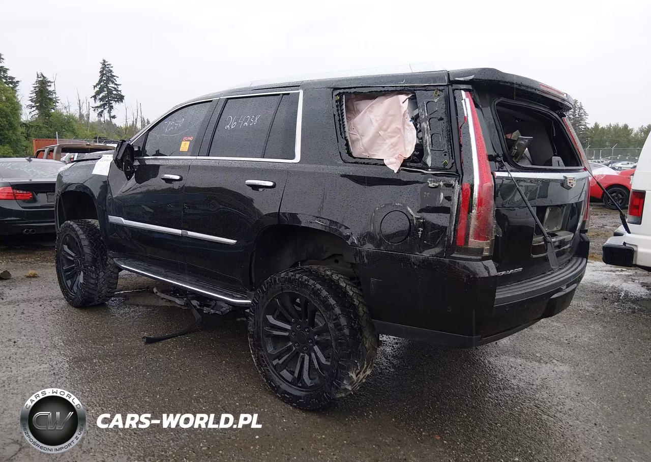 2019 Cadillac Escalade Luxury VIN:1GYS4BKJ2KR270757 - 3