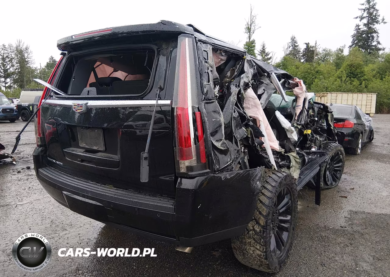 2019 Cadillac Escalade Luxury VIN:1GYS4BKJ2KR270757 - 4