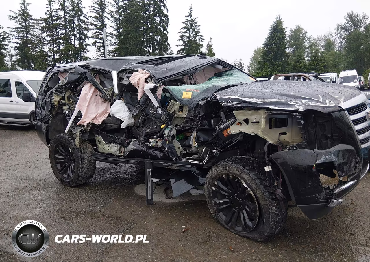 2019 Cadillac Escalade Luxury VIN:1GYS4BKJ2KR270757 - 6