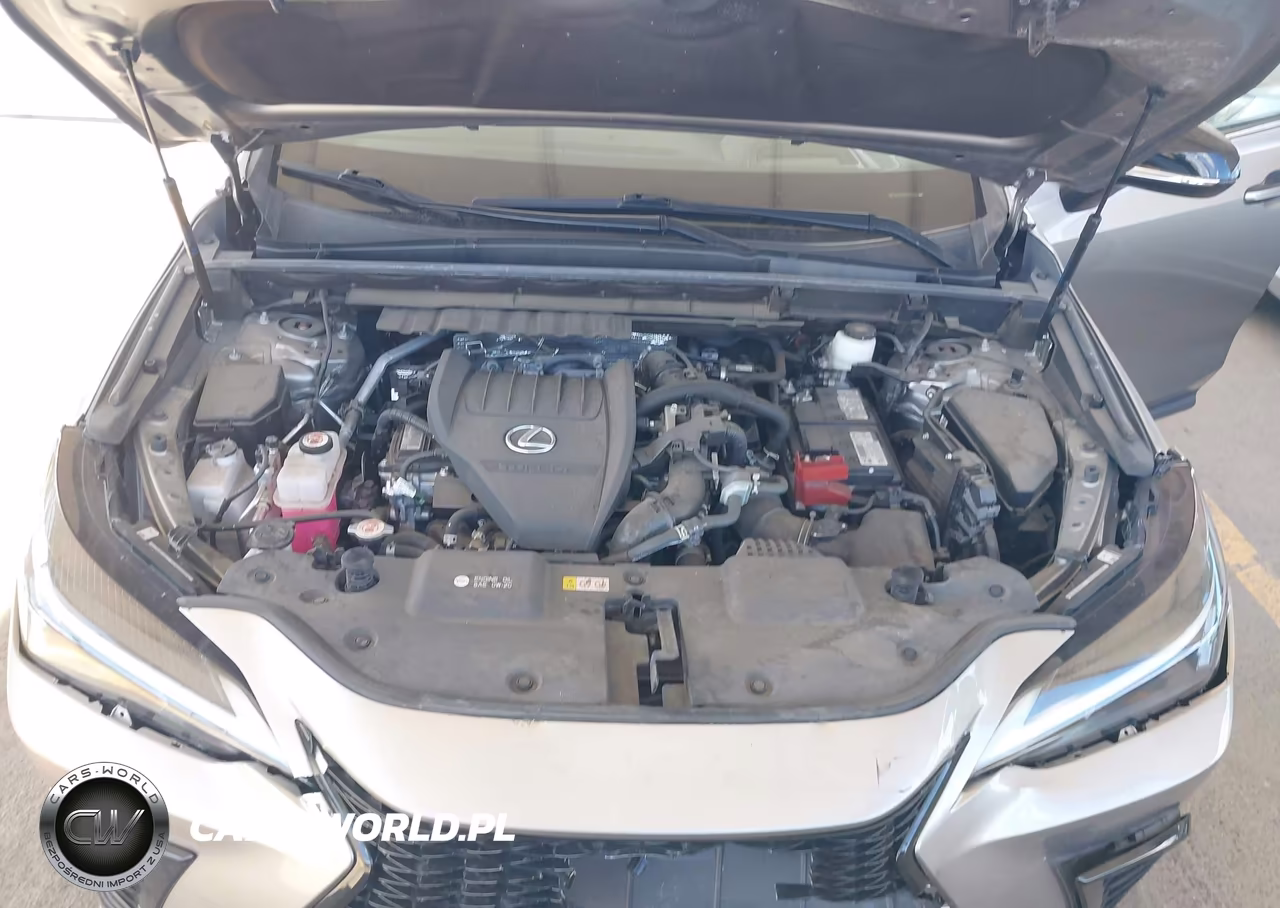 2022 Lexus Nx 350 F Sport Handling VIN:2T2KGCEZ1NC010963 - 10