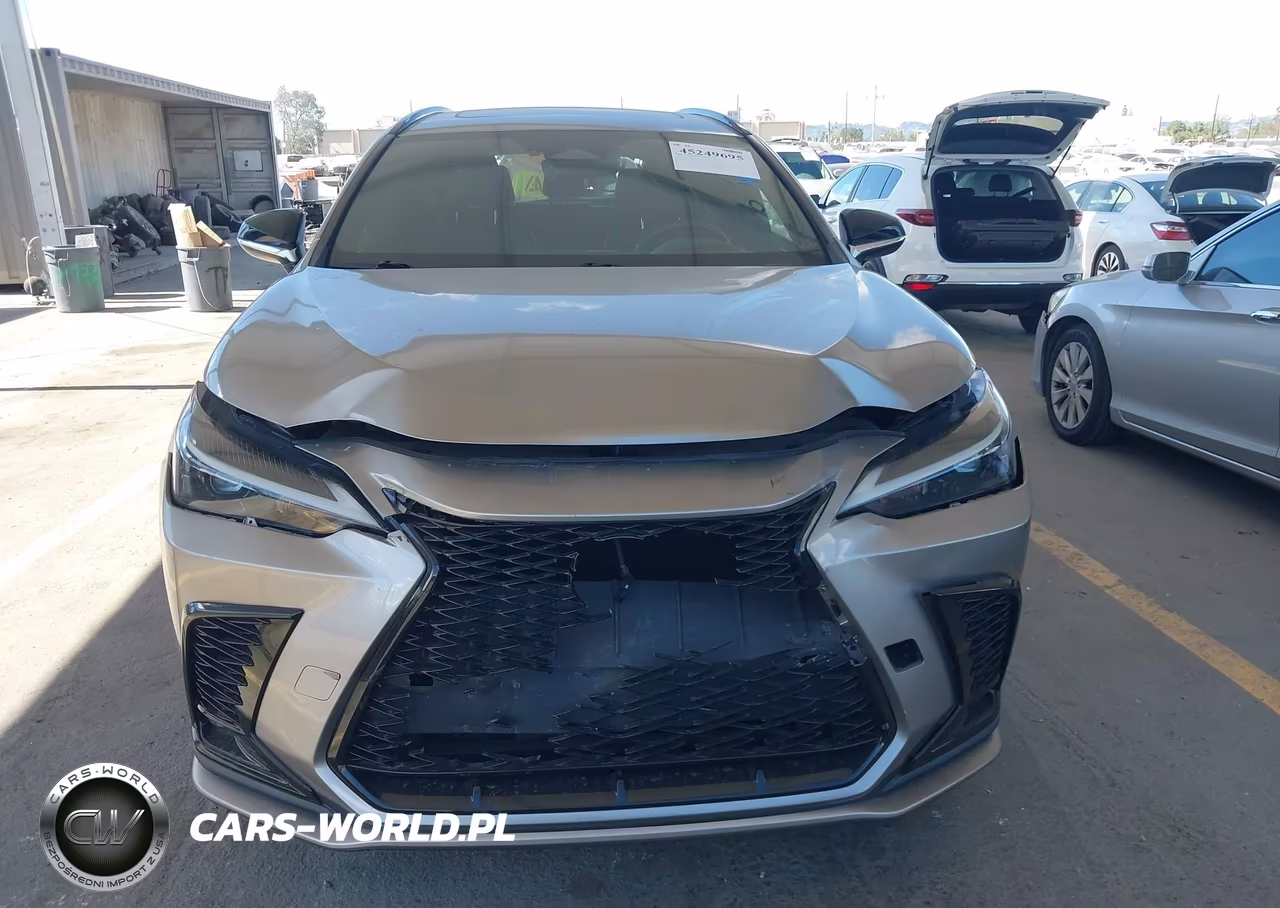2022 Lexus Nx 350 F Sport Handling VIN:2T2KGCEZ1NC010963 - 12
