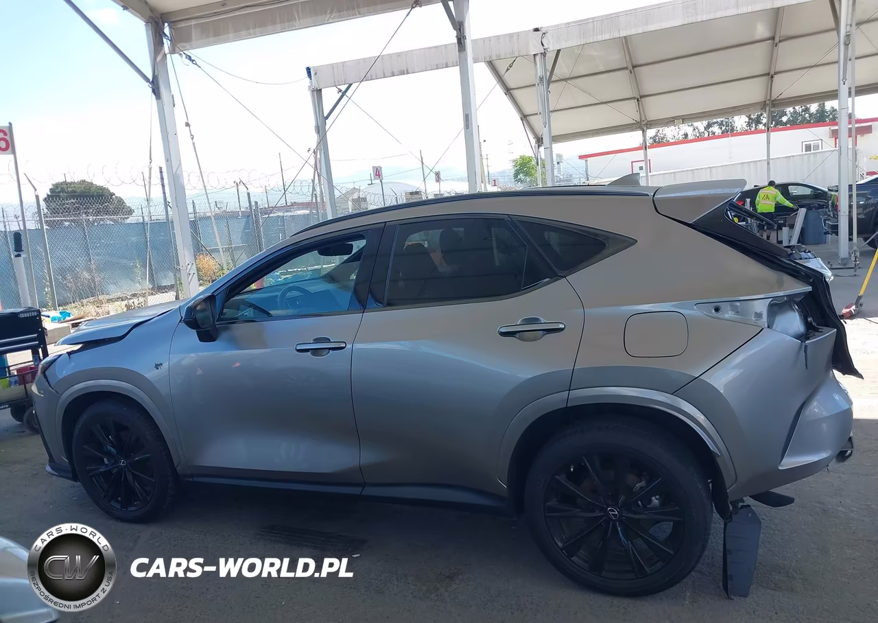 2022 Lexus Nx 350 F Sport Handling VIN:2T2KGCEZ1NC010963 - 14