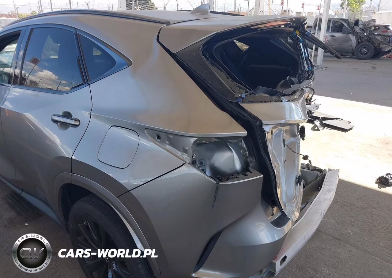 2022 Lexus Nx 350 F Sport Handling VIN:2T2KGCEZ1NC010963 - 20