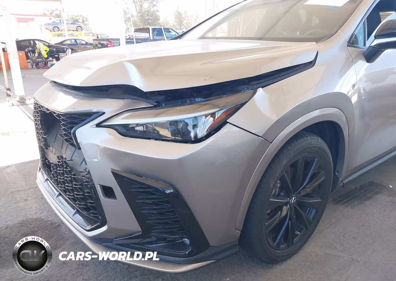 2022 Lexus Nx 350 F Sport Handling VIN:2T2KGCEZ1NC010963 - 21