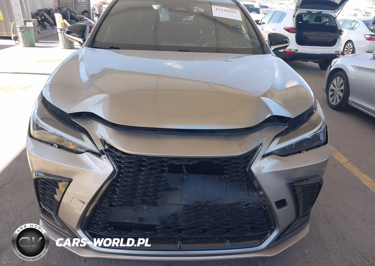 2022 Lexus Nx 350 F Sport Handling VIN:2T2KGCEZ1NC010963 - 6