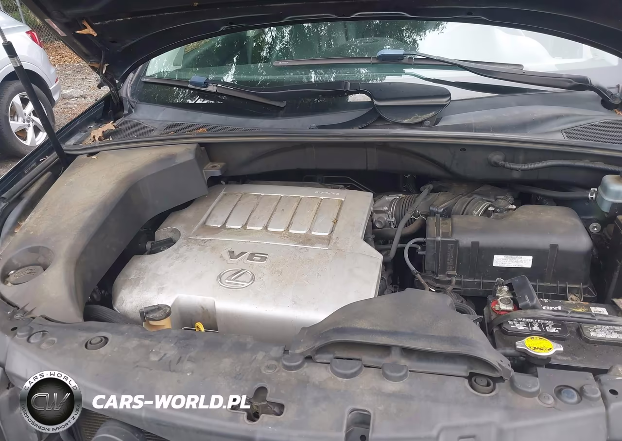2007 Lexus Rx 350 VIN:JTJGK31U470008816 - 10
