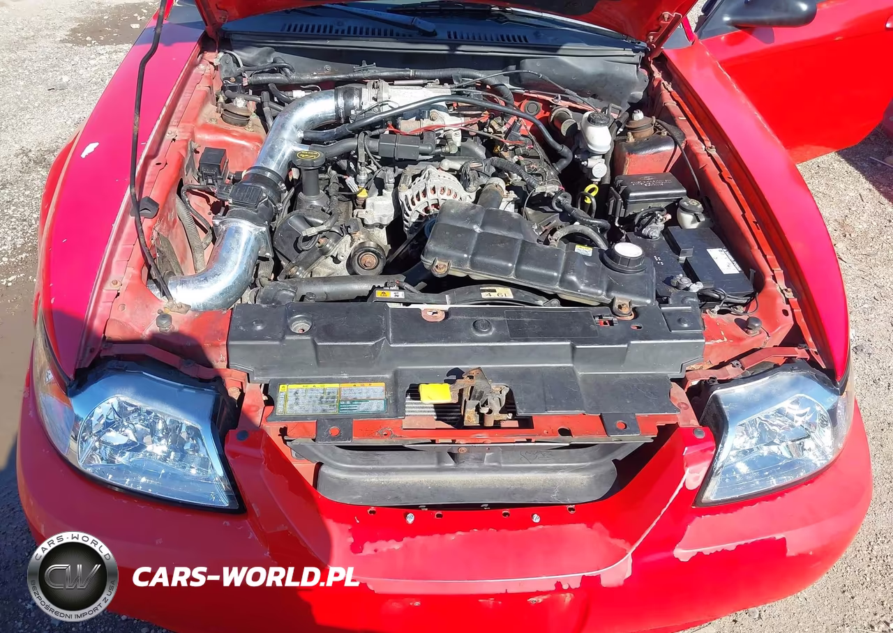 2001 Ford Mustang Gt VIN:1FAFP45X71F206522 - 10