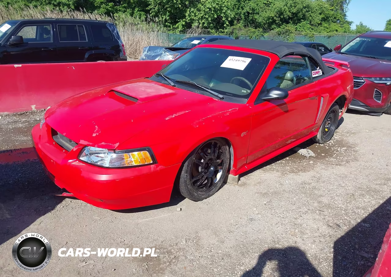 2001 Ford Mustang Gt VIN:1FAFP45X71F206522 - 2