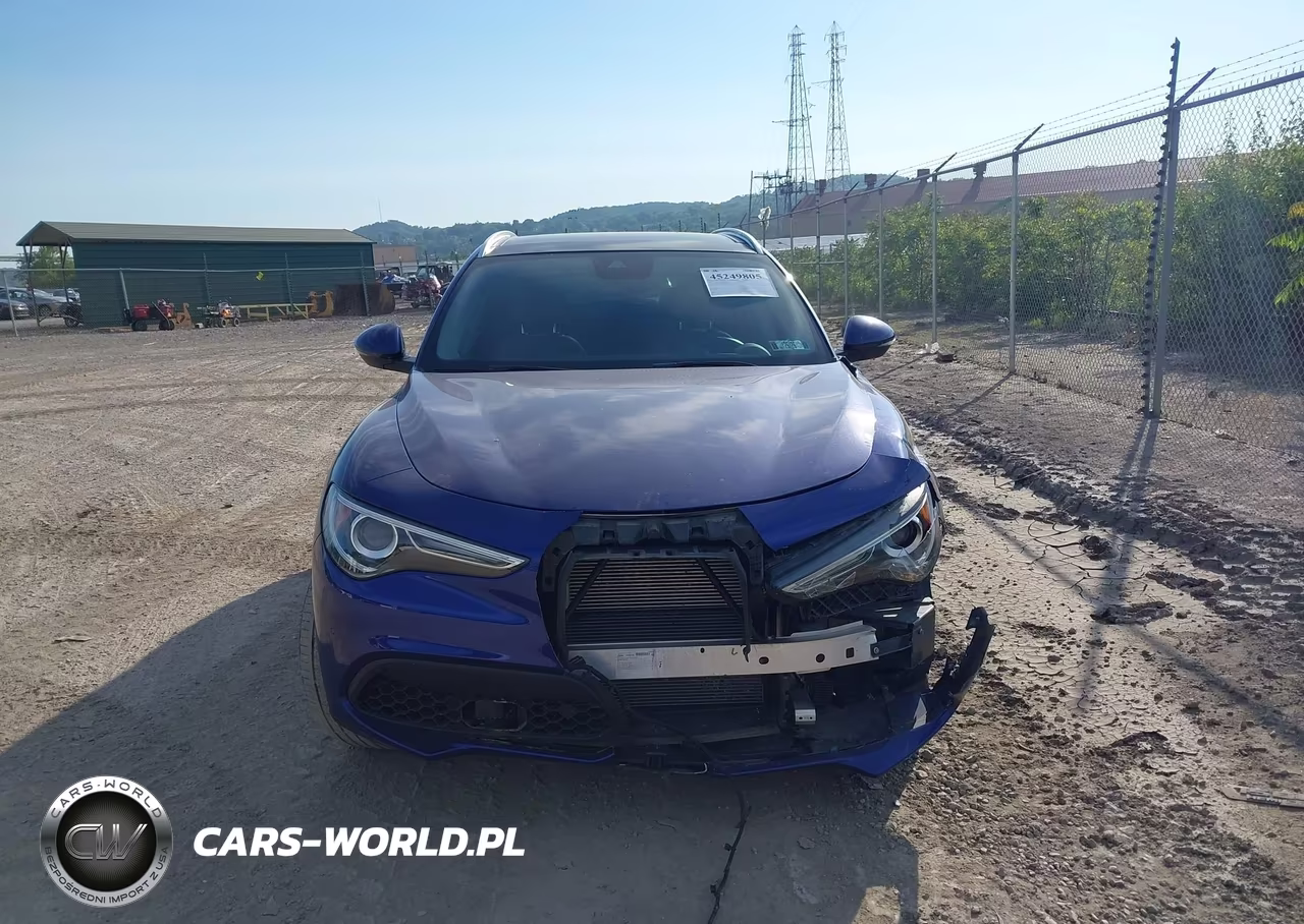 2021 Alfa Romeo Stelvio Awd VIN:ZASPAKAN6M7D05959 - 12