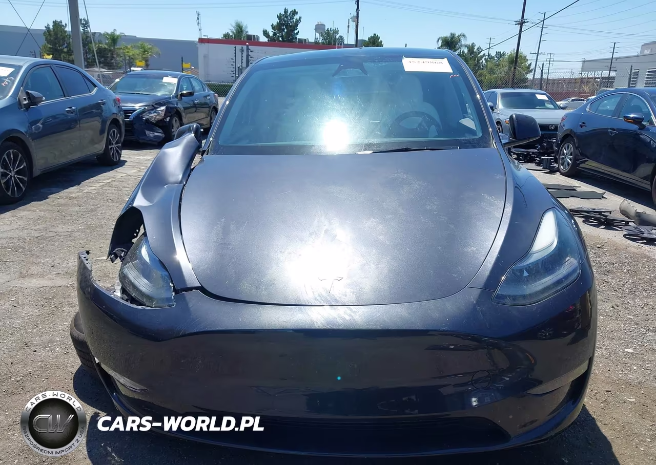 2025 Tesla Model Y Long Range Dual Motor Rear-Wheel Drive VIN:7SAYGDED6SF229808 - 12
