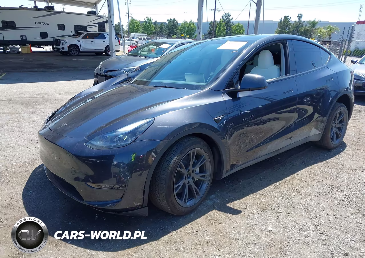 2025 Tesla Model Y Long Range Dual Motor Rear-Wheel Drive VIN:7SAYGDED6SF229808 - 2