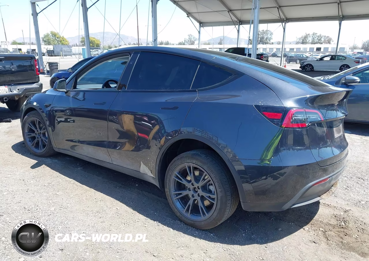 2025 Tesla Model Y Long Range Dual Motor Rear-Wheel Drive VIN:7SAYGDED6SF229808 - 3