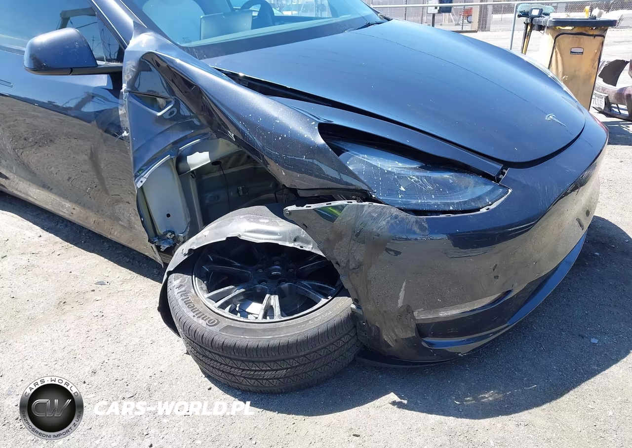 2025 Tesla Model Y Long Range Dual Motor Rear-Wheel Drive VIN:7SAYGDED6SF229808 - 6