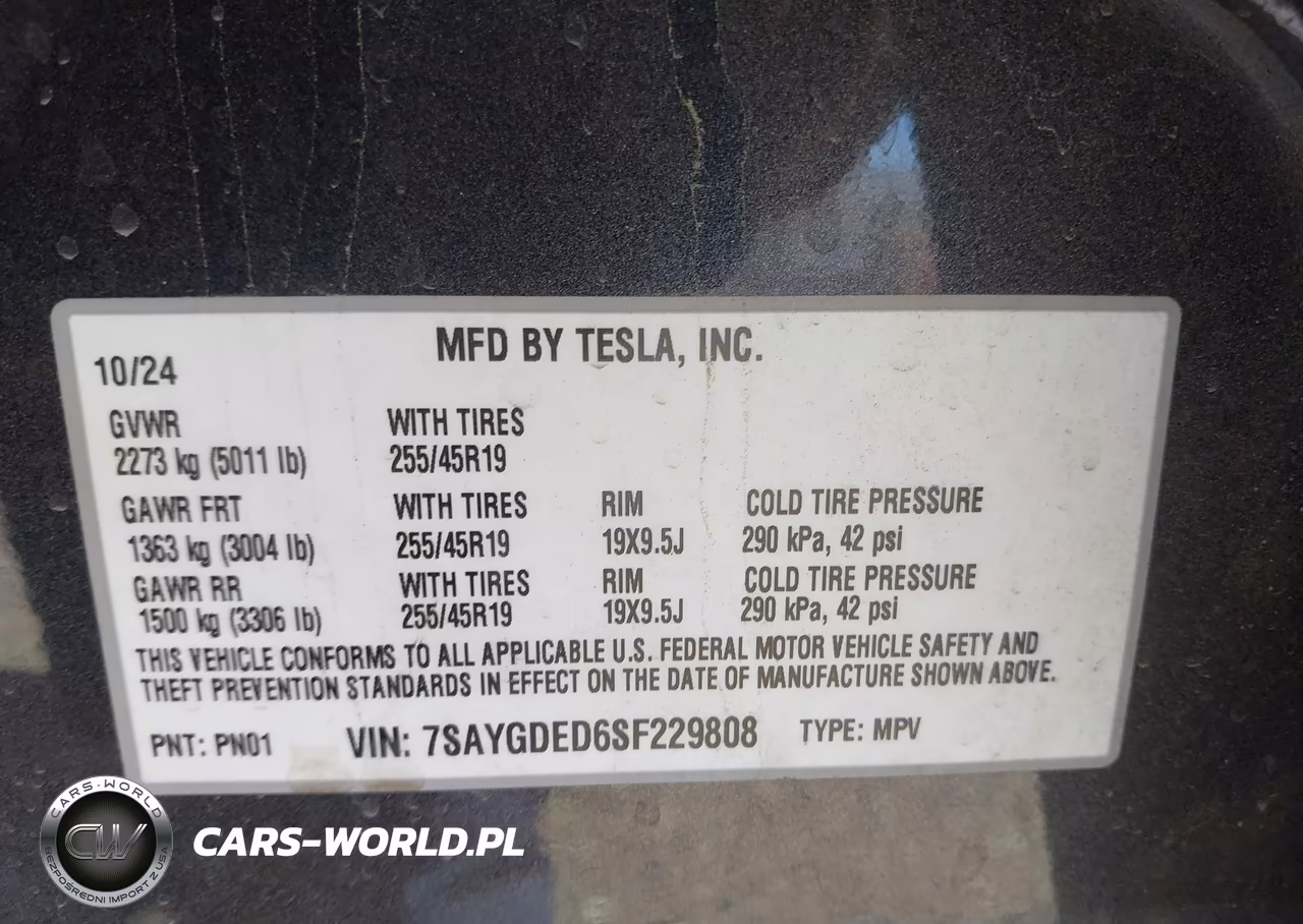 2025 Tesla Model Y Long Range Dual Motor Rear-Wheel Drive VIN:7SAYGDED6SF229808 - 9