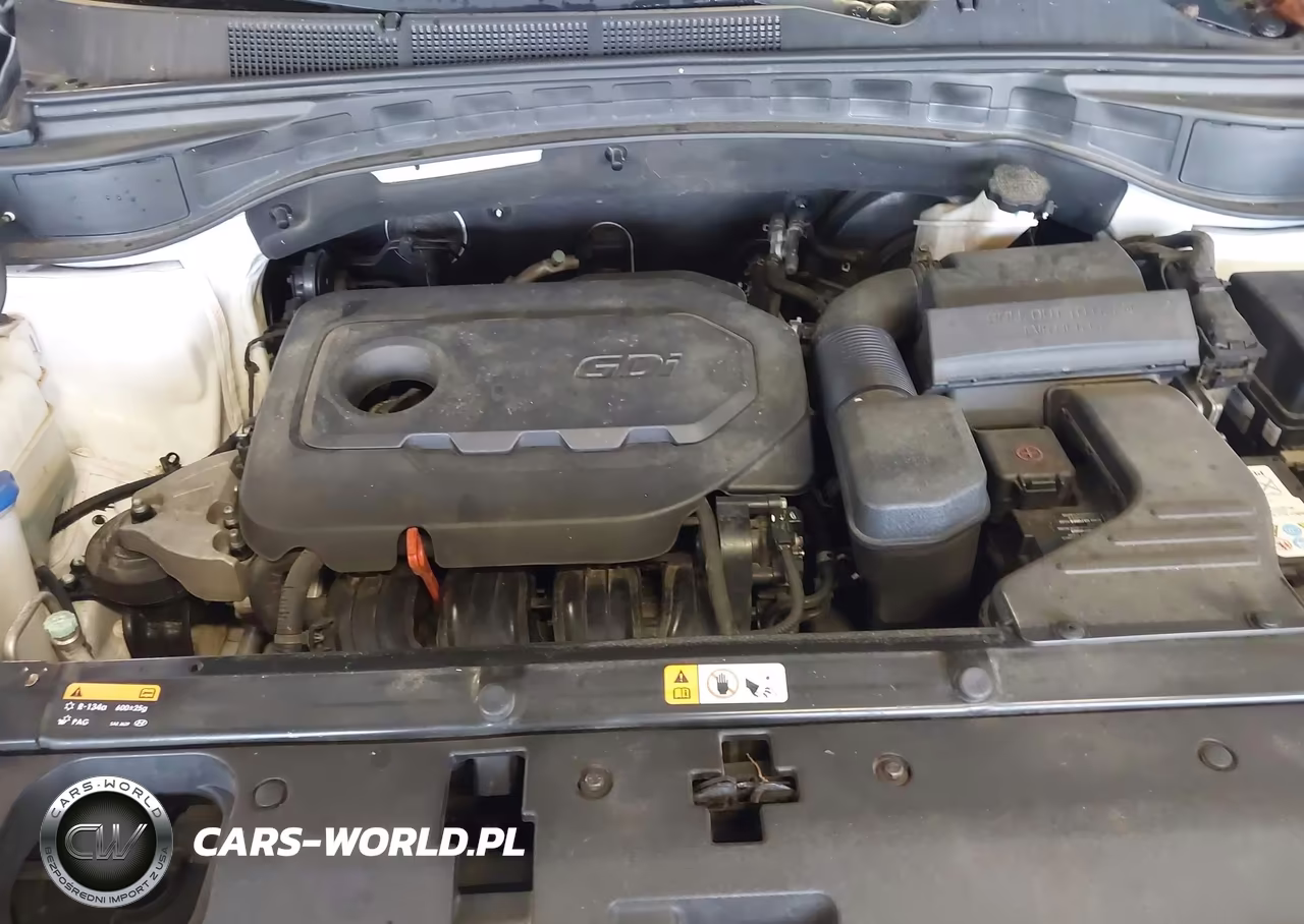 2017 Hyundai Santa Fe Sport 2.4L VIN:5NMZU3LB8HH020423 - 10