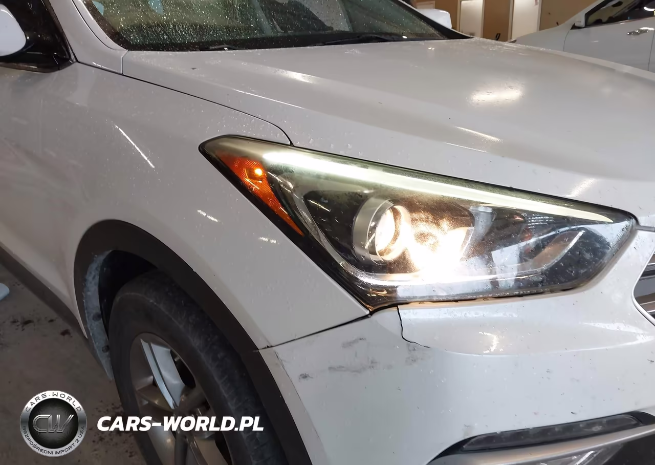 2017 Hyundai Santa Fe Sport 2.4L VIN:5NMZU3LB8HH020423 - 21