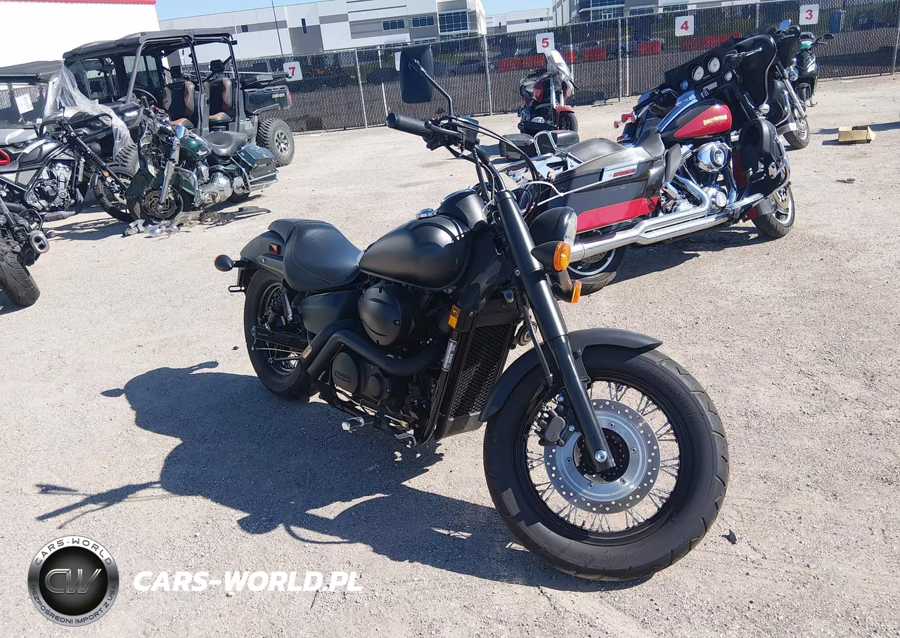 2022 Honda Vt750 C2B