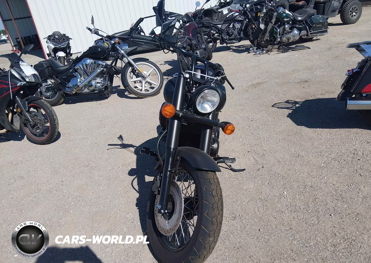 2022 Honda Vt750 C2B VIN:JH2RC5372NK200613 - 5