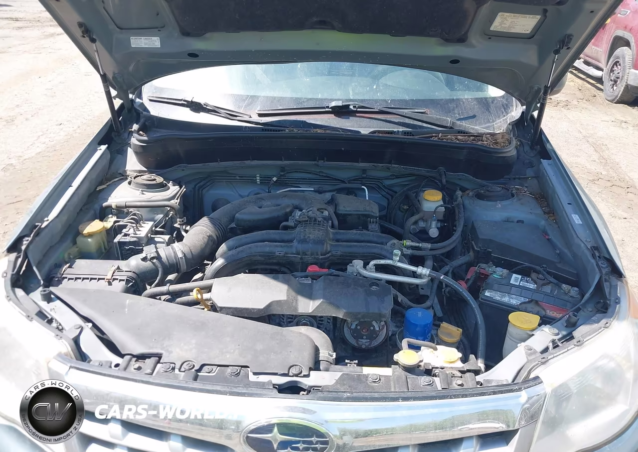 2013 Subaru Forester 2.5X Premium VIN:JF2SHADC9DH428766 - 10