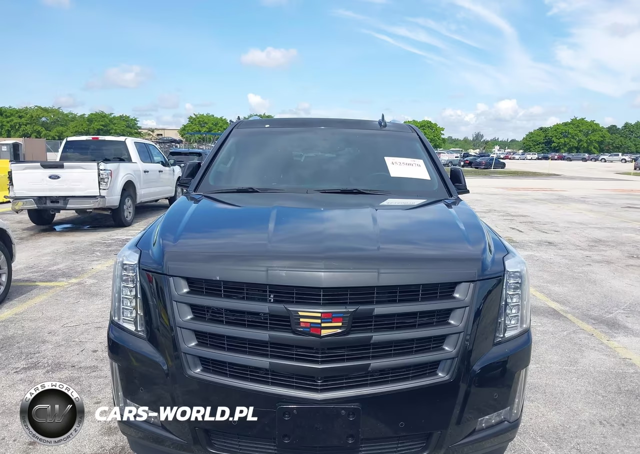 2017 Cadillac Escalade Esv VIN:1GYS4GKJ5HR147380 - 17