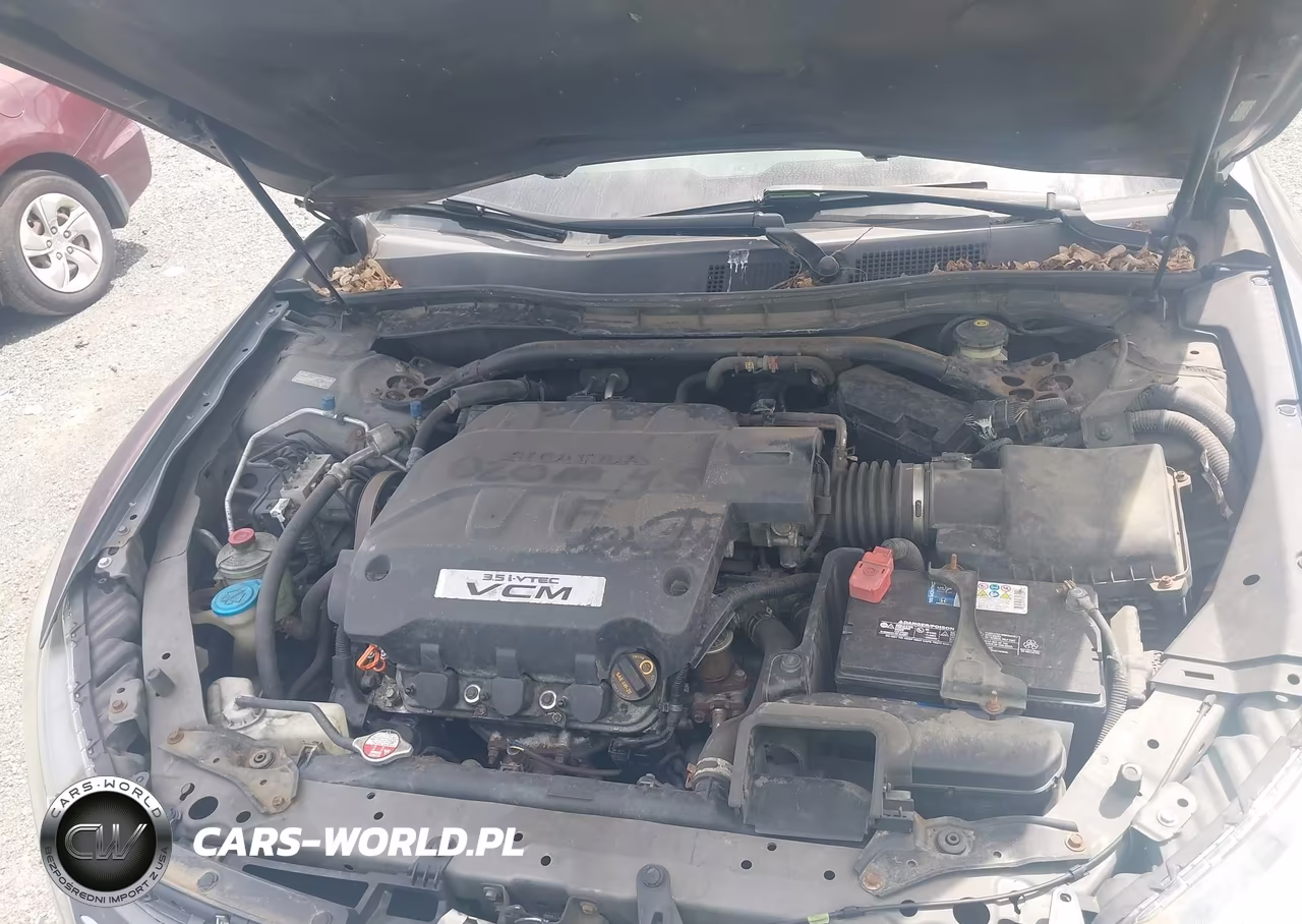 2010 Honda Accord Crosstour Ex-L VIN:5J6TF2H54AL008376 - 10