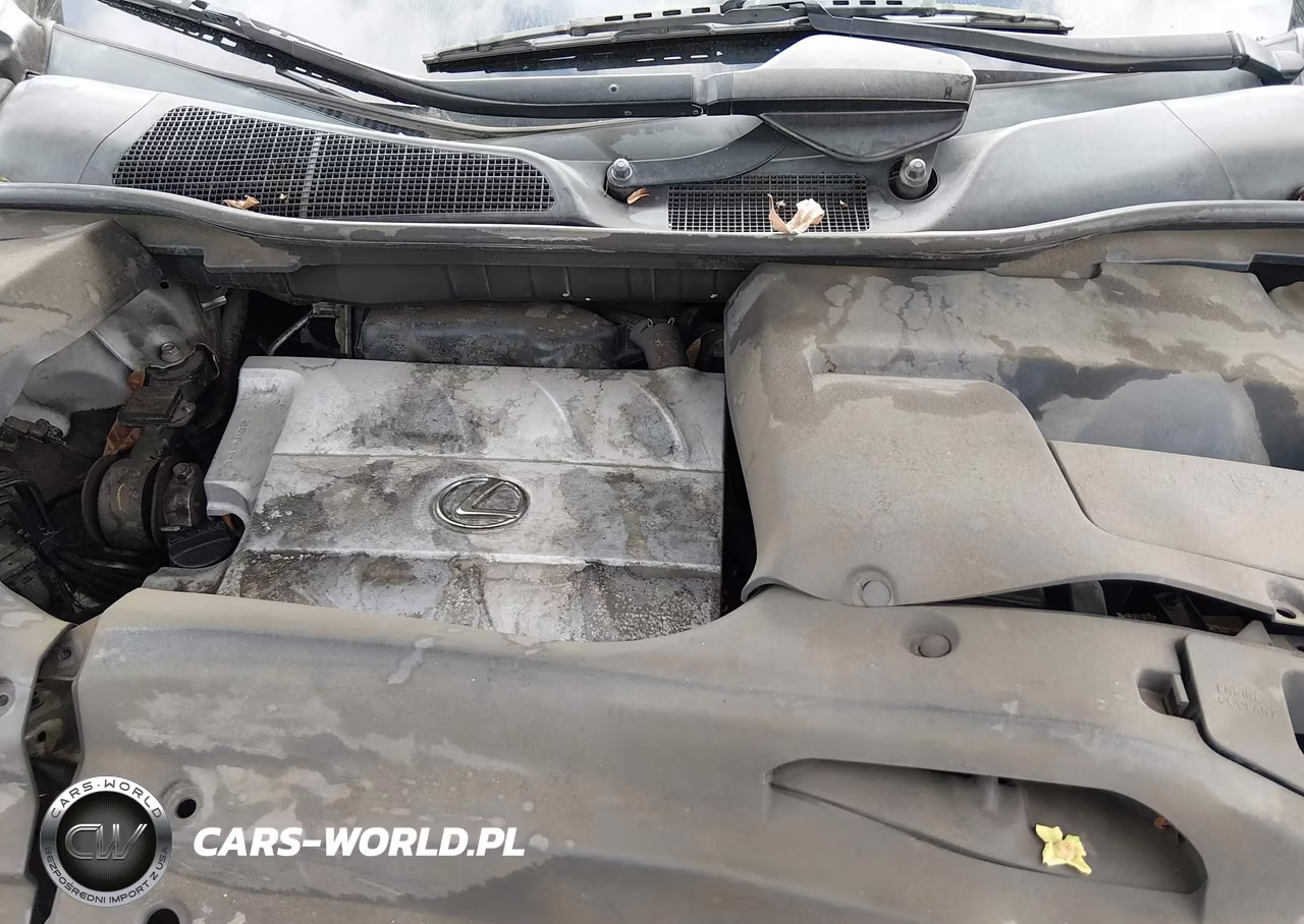 2010 Lexus Rx 350 VIN:2T2ZK1BA2AC040712 - 10