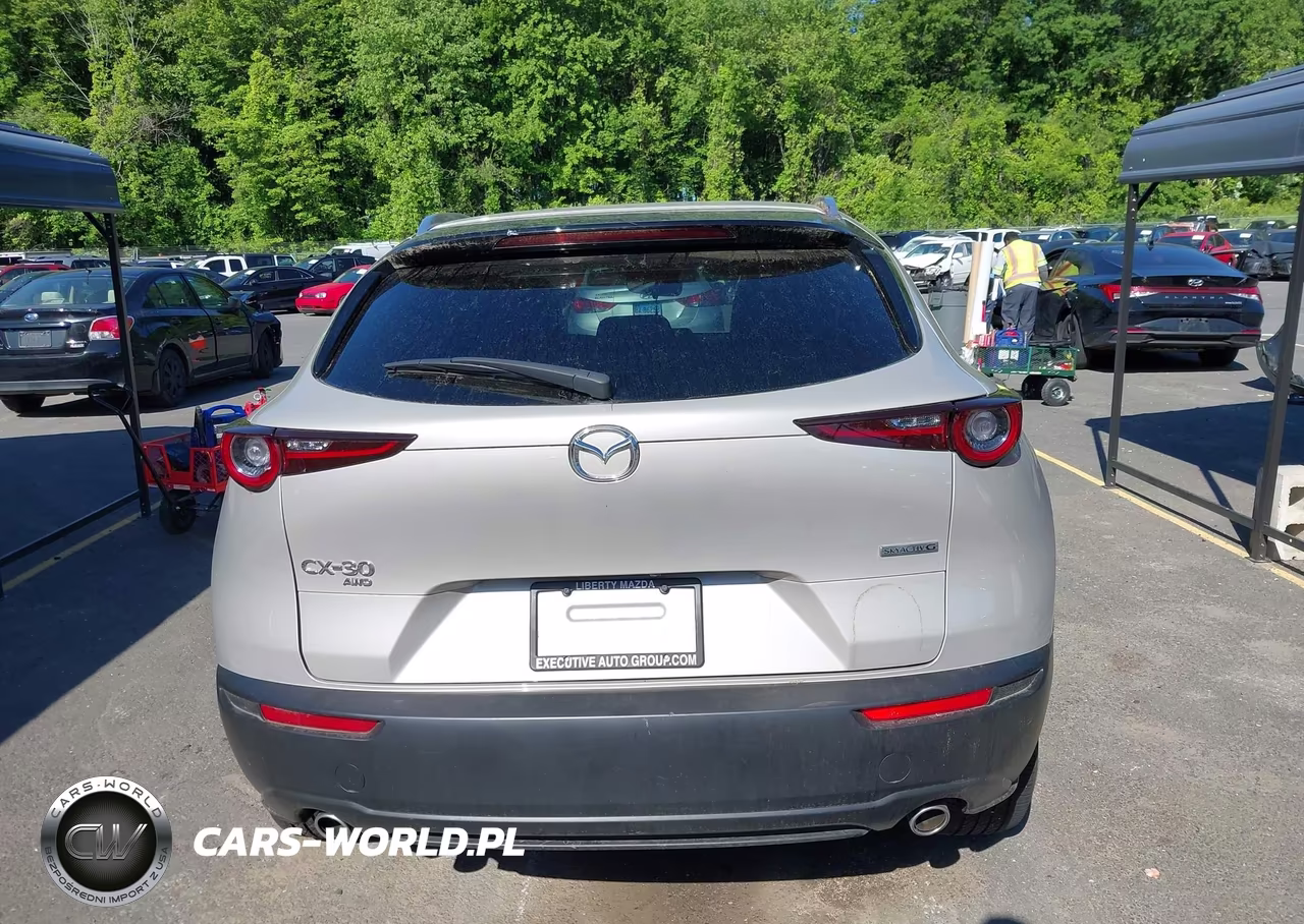 2024 Mazda Cx-30 2.5 S Preferred Package VIN:3MVDMBCM0RM711691 - 17