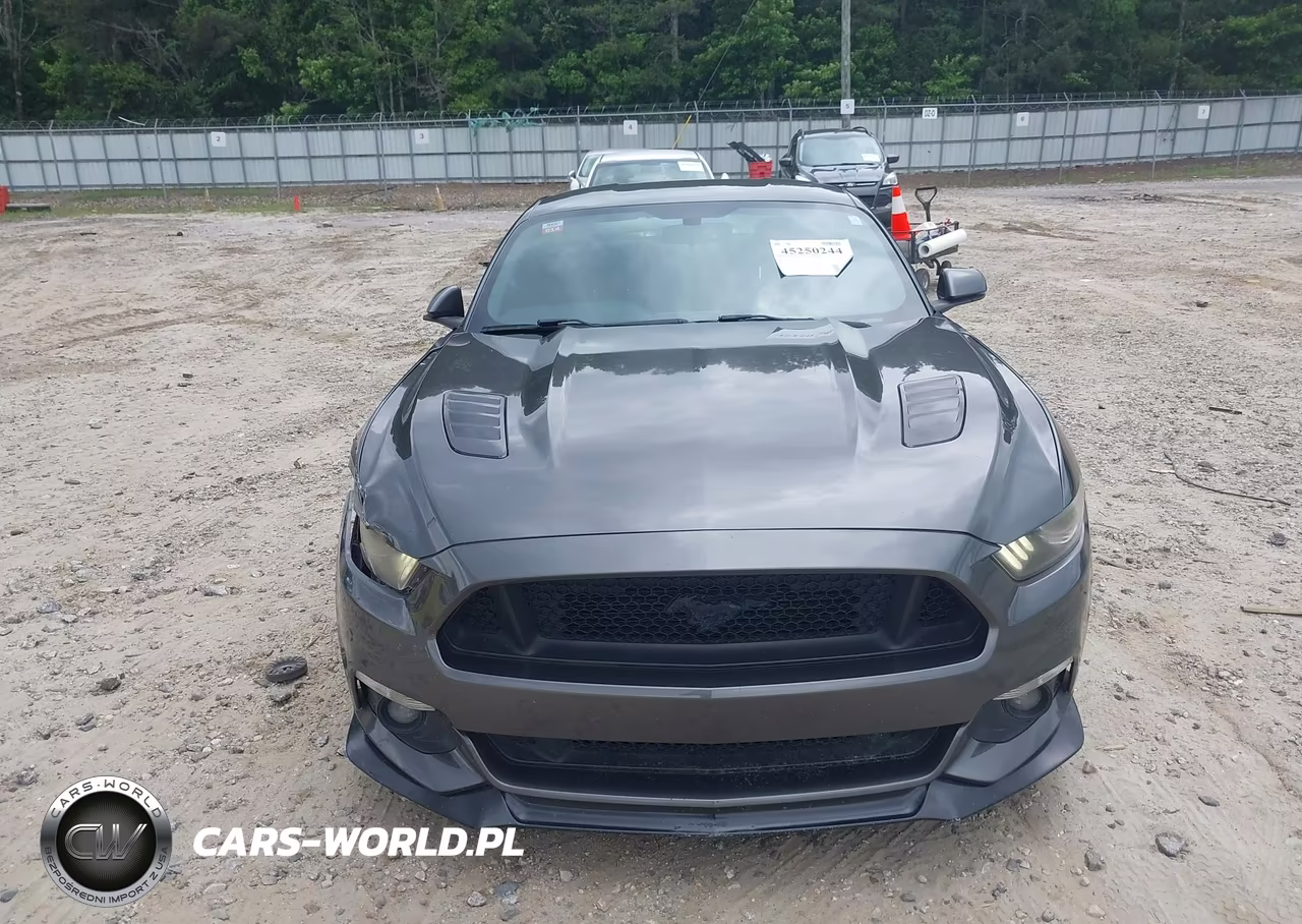 2015 Ford Mustang Gt Premium VIN:1FA6P8CF3F5357601 - 12