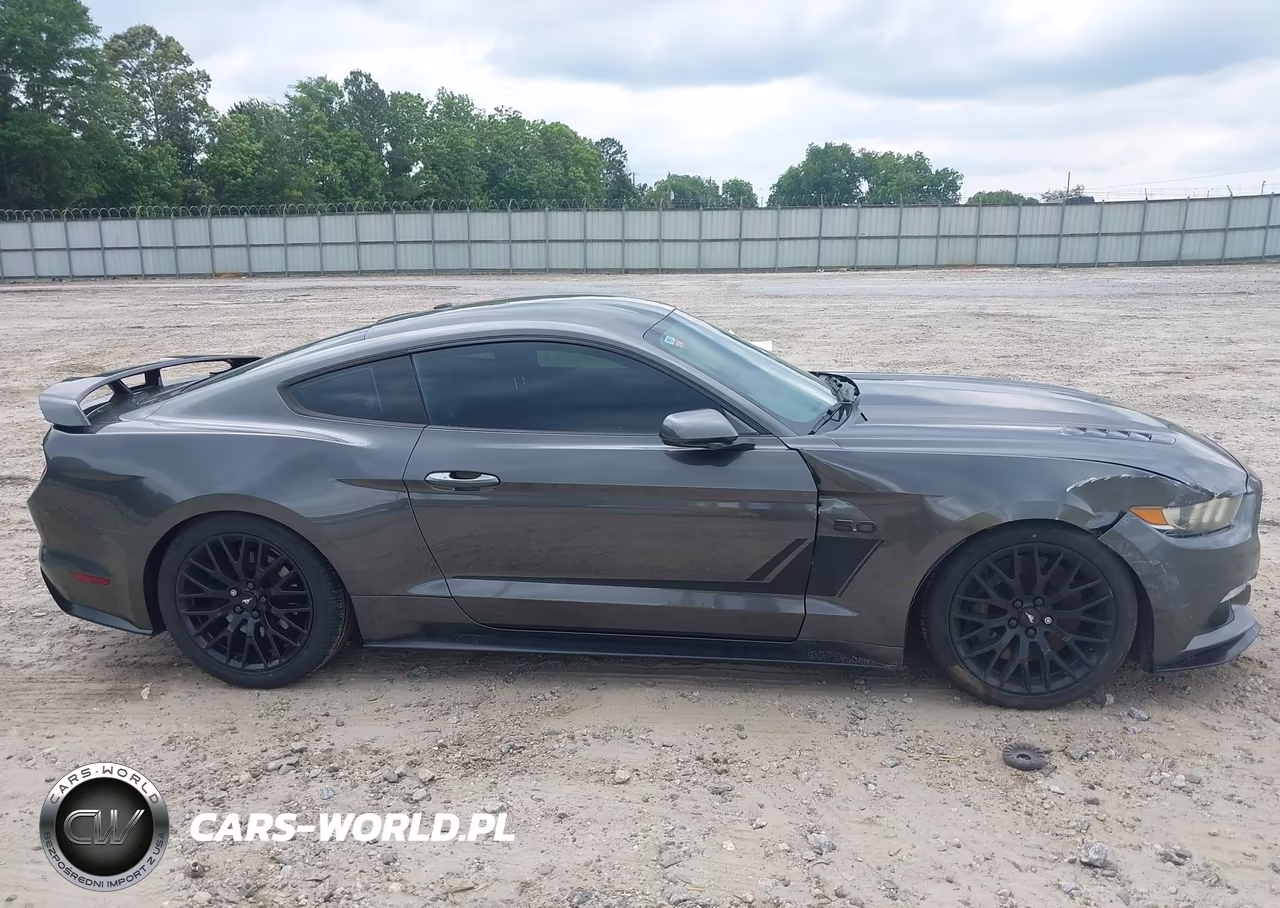 2015 Ford Mustang Gt Premium VIN:1FA6P8CF3F5357601 - 13