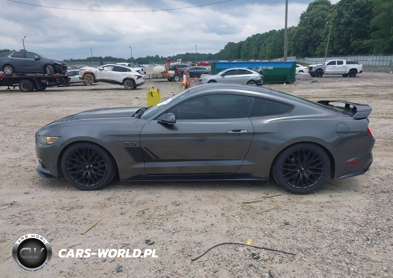 2015 Ford Mustang Gt Premium VIN:1FA6P8CF3F5357601 - 14